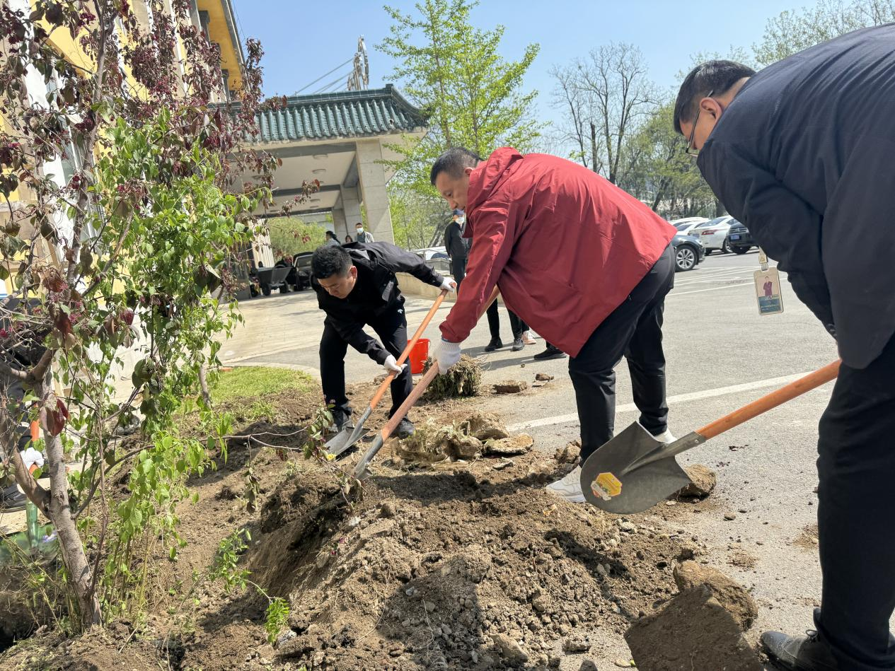 植樹造林添新綠，共創(chuàng)秀美鋼都景